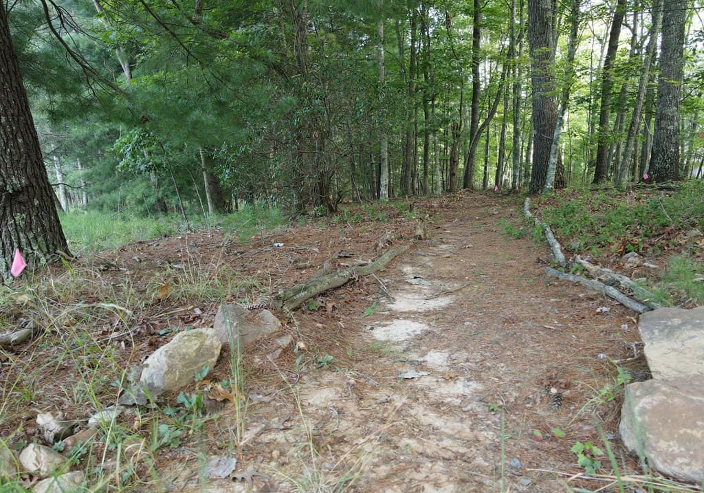 41 Old Wilscott Lane, Blairsville GA 30512 - Photo