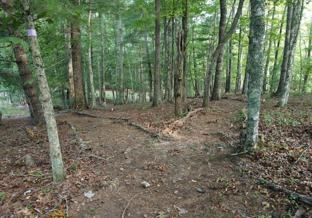 41 Old Wilscott Lane, Blairsville GA 30512 - Photo