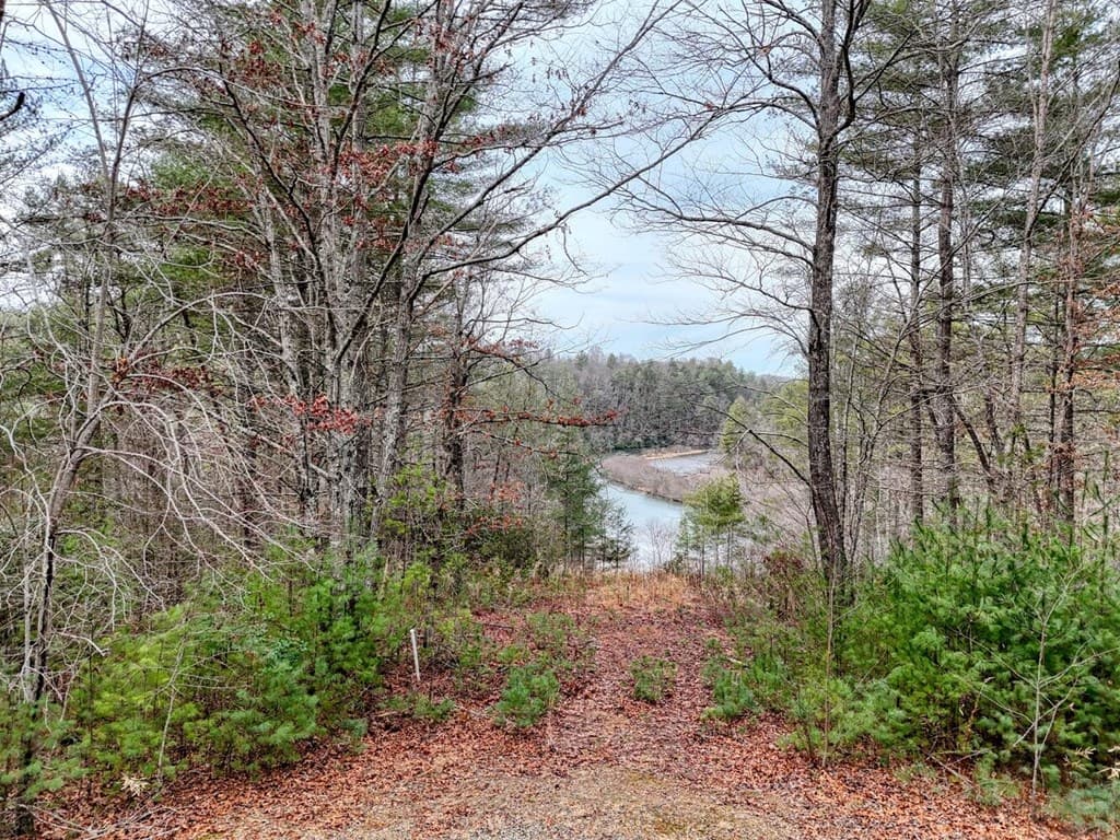 N/A Trillium Heights, Hayesville NC 28904 - Photo