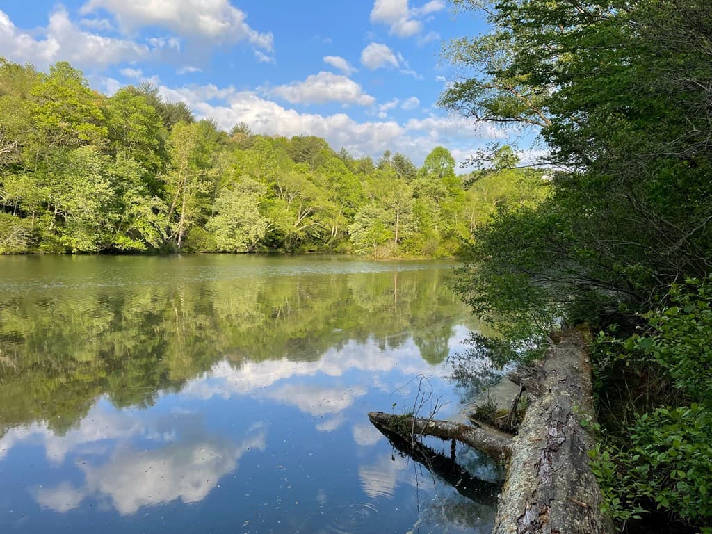N/A Trillium Heights, Hayesville NC 28904 - Photo