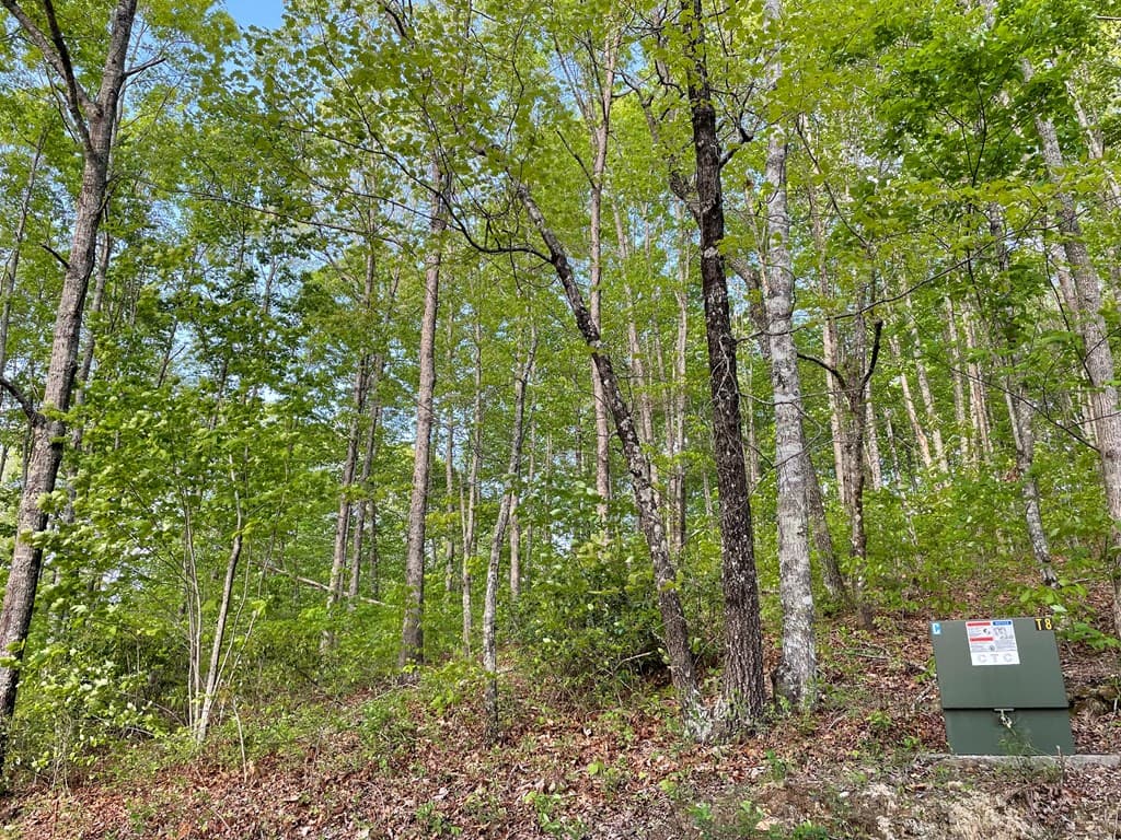 N/A Trillium Heights, Hayesville NC 28904 - Photo