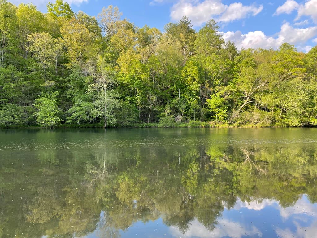 N/A Trillium Heights, Hayesville NC 28904 - Photo