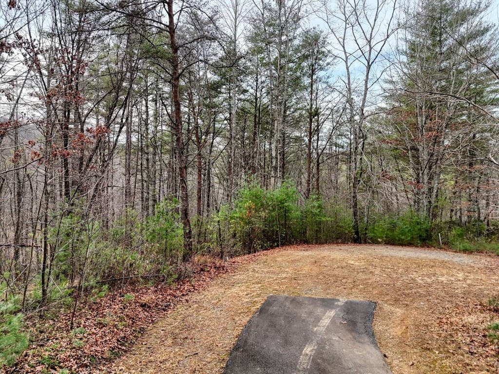 N/A Trillium Heights, Hayesville NC 28904 - Photo