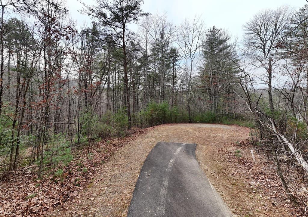 N/A Trillium Heights, Hayesville NC 28904 - Photo