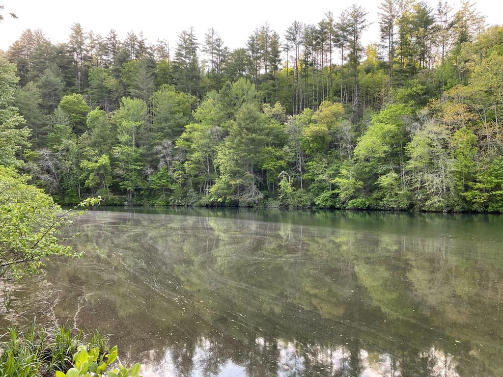 N/A Trillium Heights, Hayesville NC 28904 - Photo