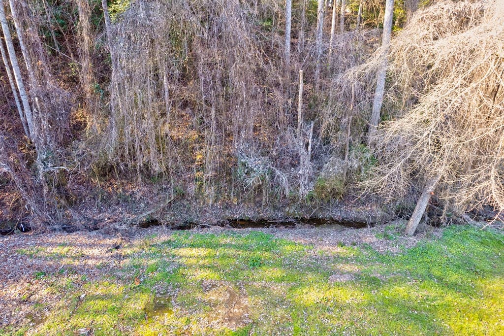 TR-A First Avenue, East Ellijay GA 30539 - Photo