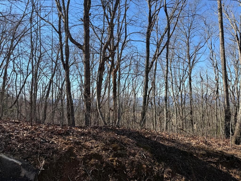 Lot 54 NW Majestic View Circle, Murphy NC 28906 - Photo
