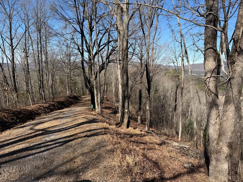 Lot 54 NW Majestic View Circle, Murphy NC 28906 - Photo