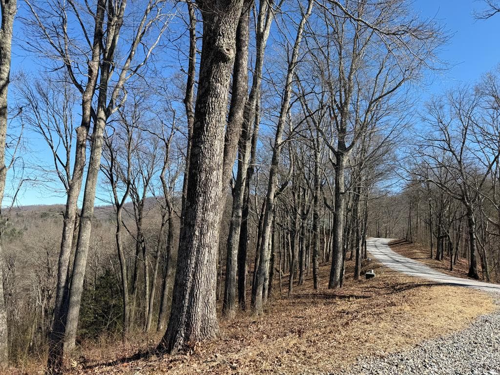 Lot 54 NW Majestic View Circle, Murphy NC 28906 - Photo