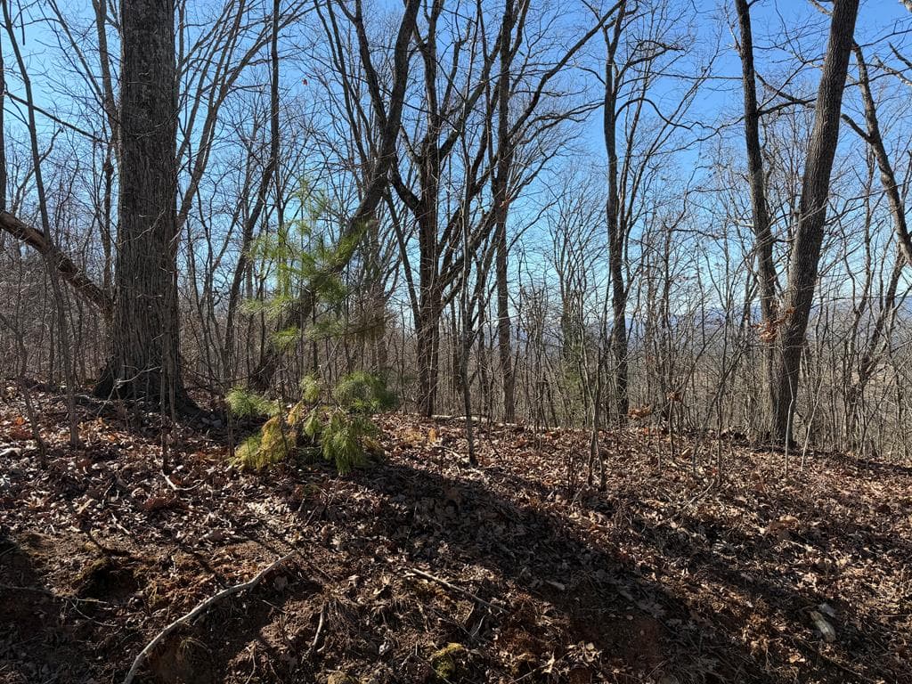Lot 54 NW Majestic View Circle, Murphy NC 28906 - Photo