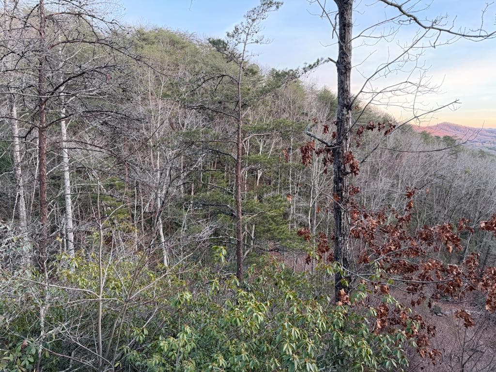 Lot 54 NW Majestic View Circle, Murphy NC 28906 - Photo