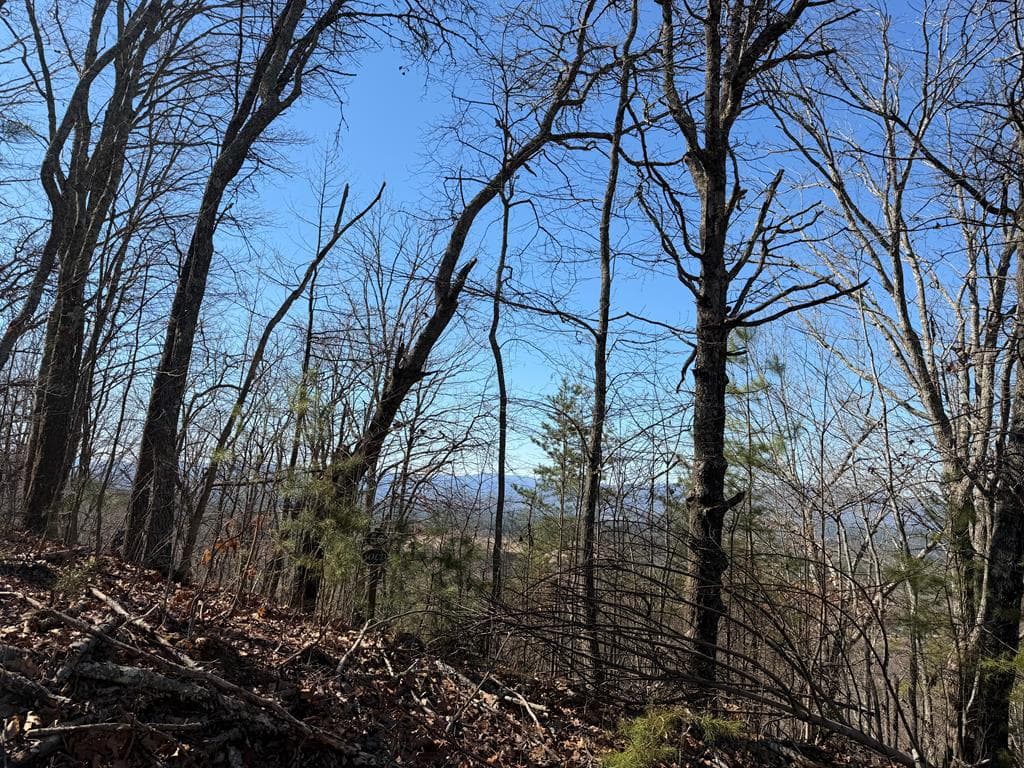 Lot 54 NW Majestic View Circle, Murphy NC 28906 - Photo