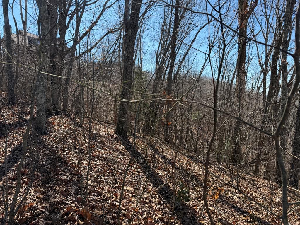 Lot 54 NW Majestic View Circle, Murphy NC 28906 - Photo