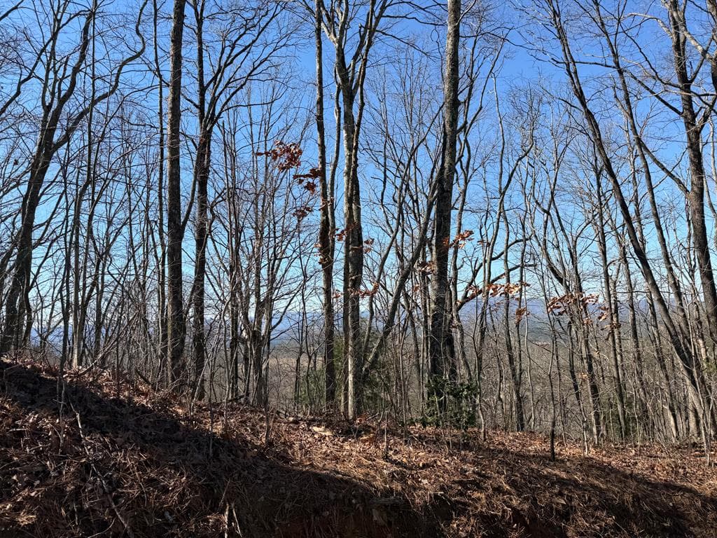 Lot 54 NW Majestic View Circle, Murphy NC 28906 - Photo