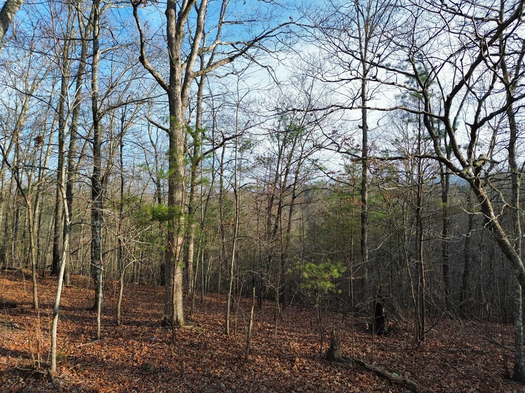 Tract 2 Century Lane, Blue Ridge GA 30513 - Photo