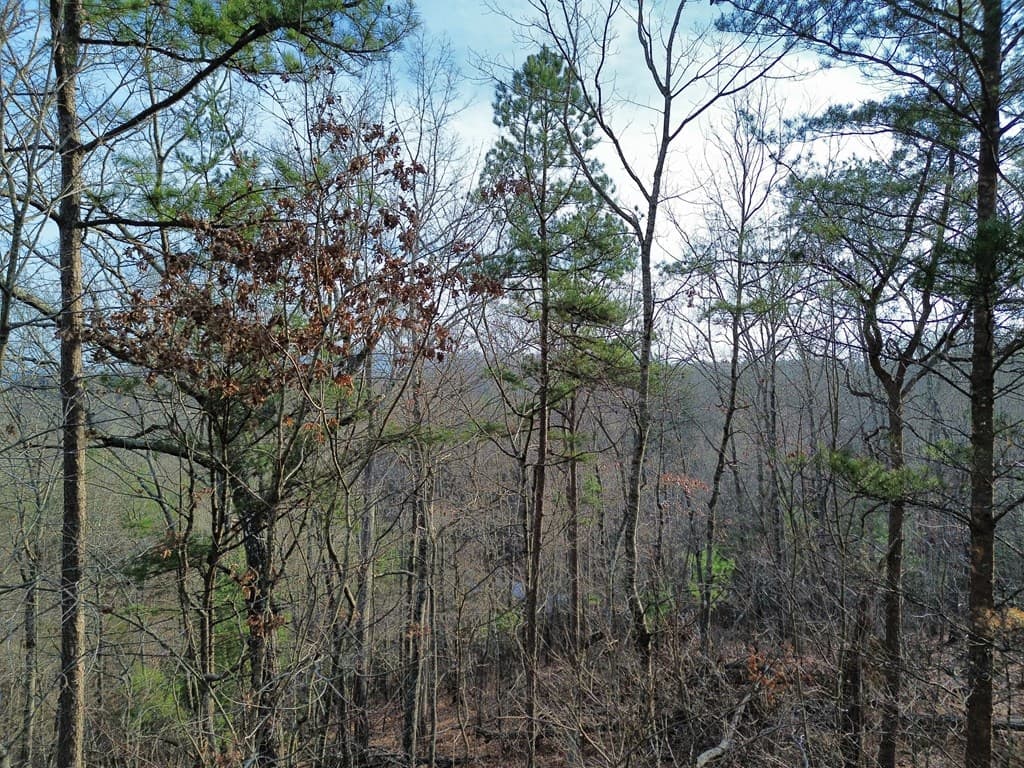 Tract 2 Century Lane, Blue Ridge GA 30513 - Photo