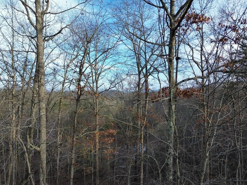 Tract 2 Century Lane, Blue Ridge GA 30513 - Photo