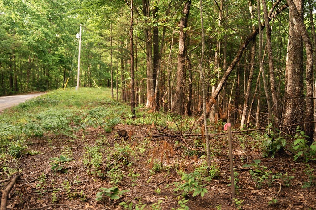 Tract 2 Century Lane, Blue Ridge GA 30513 - Photo