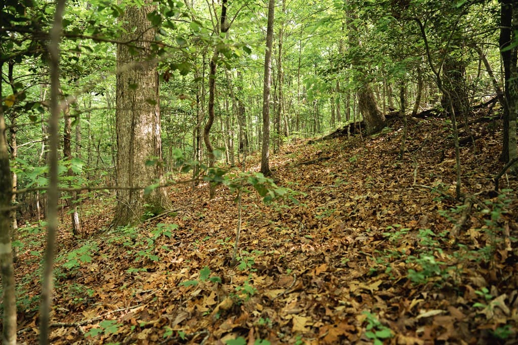 Tract 2 Century Lane, Blue Ridge GA 30513 - Photo