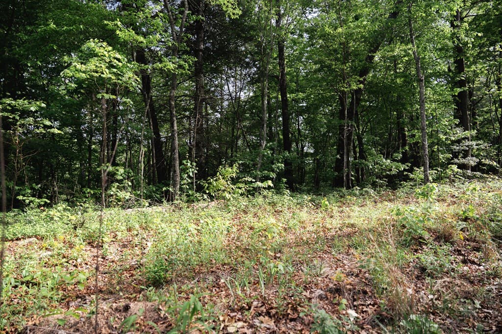 Tract 2 Century Lane, Blue Ridge GA 30513 - Photo