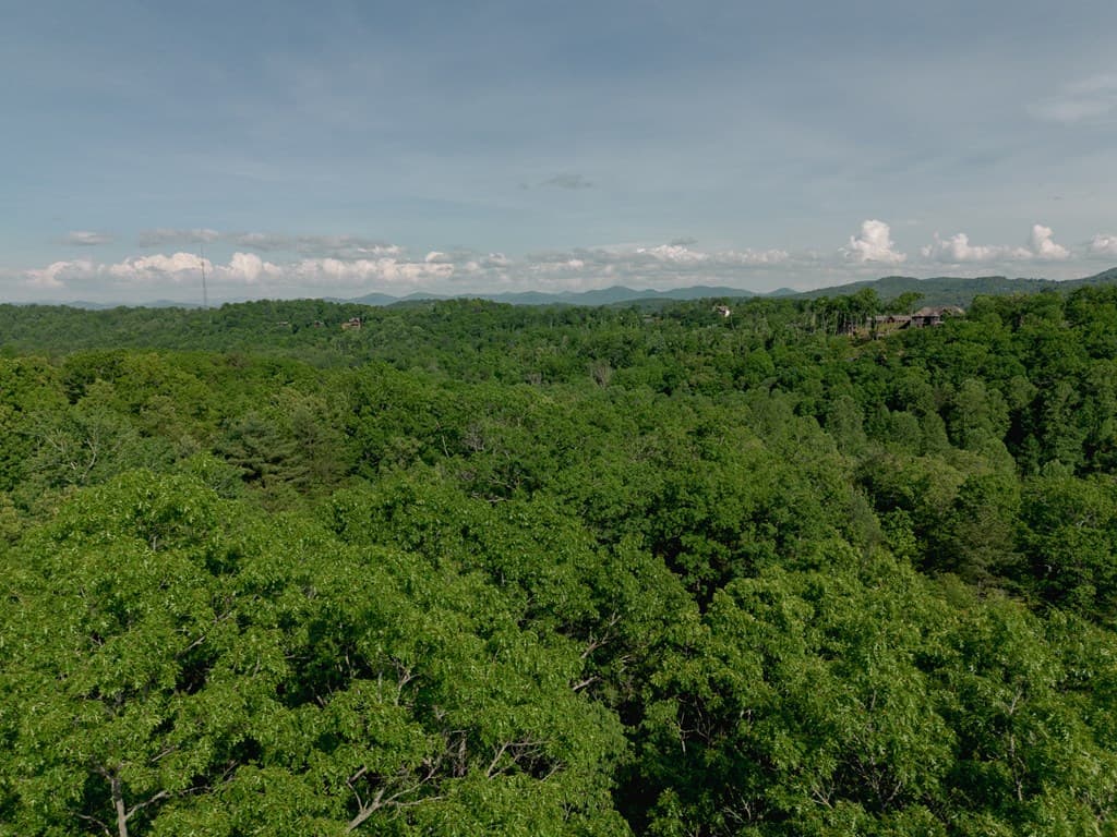 Tract 2 Century Lane, Blue Ridge GA 30513 - Photo