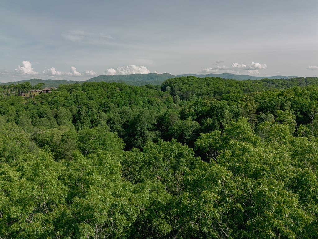Tract 2 Century Lane, Blue Ridge GA 30513 - Photo