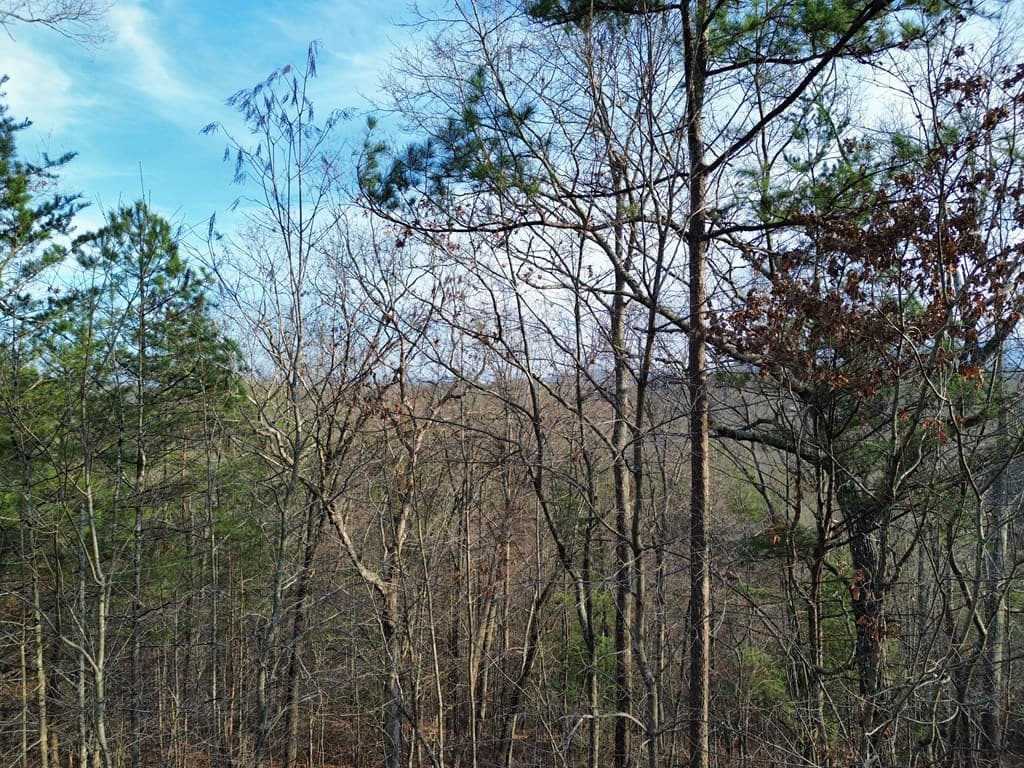 Tract 2 Century Lane, Blue Ridge GA 30513 - Photo