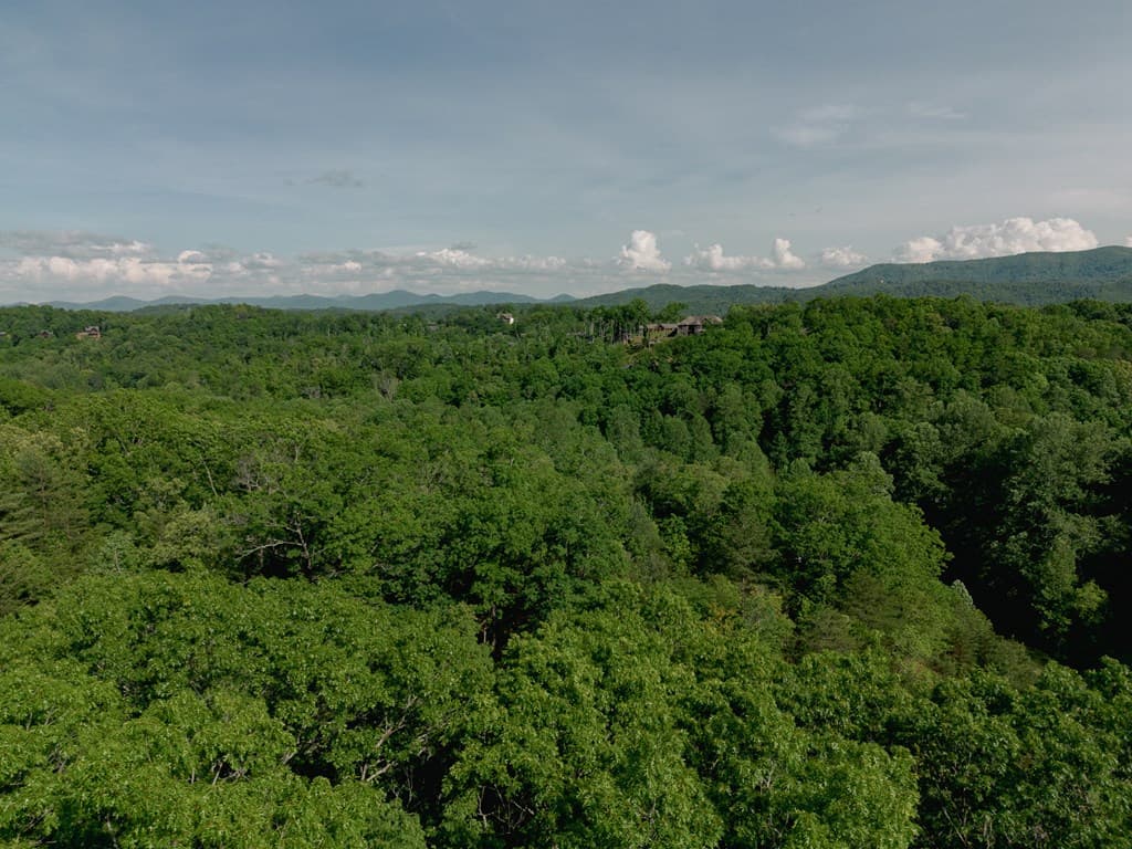 Tract 2 Century Lane, Blue Ridge GA 30513 - Photo