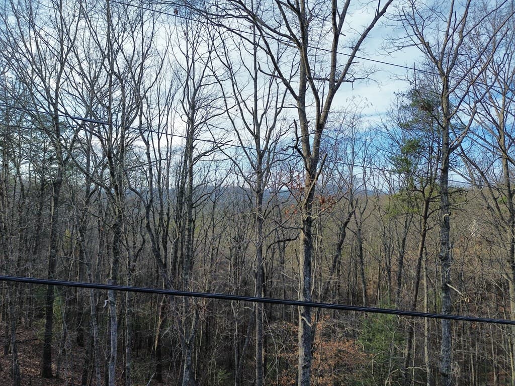 Tract 2 Century Lane, Blue Ridge GA 30513 - Photo