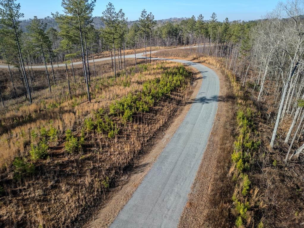 lot 178 Vista Creek Drive, Talking Rock GA 30175 - Photo