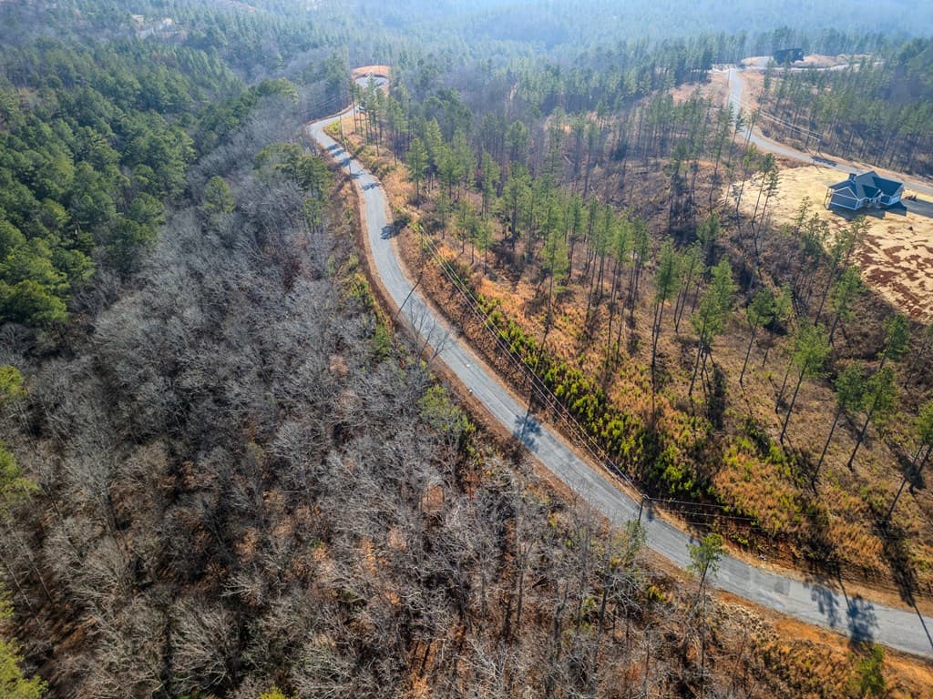 lot 178 Vista Creek Drive, Talking Rock GA 30175 - Photo