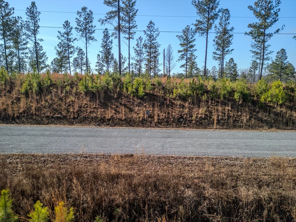 lot 178 Vista Creek Drive, Talking Rock GA 30175 - Photo