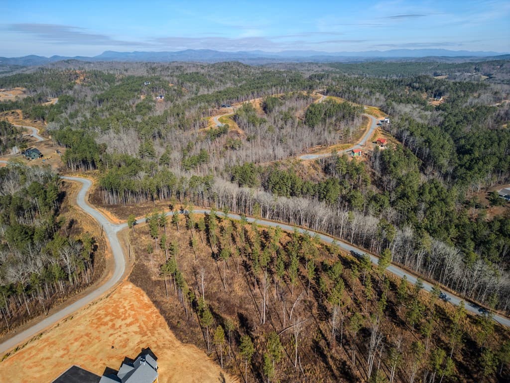 lot 178 Vista Creek Drive, Talking Rock GA 30175 - Photo