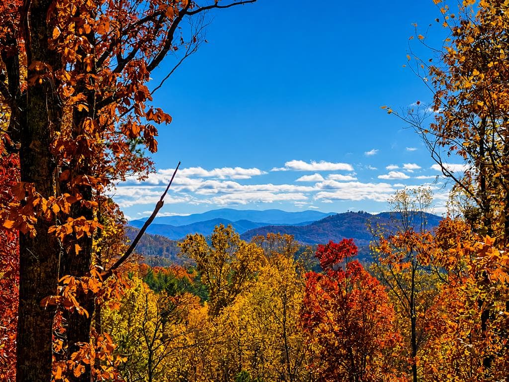 449 Legendary Ridge Road, Murphy NC 28906 - Photo