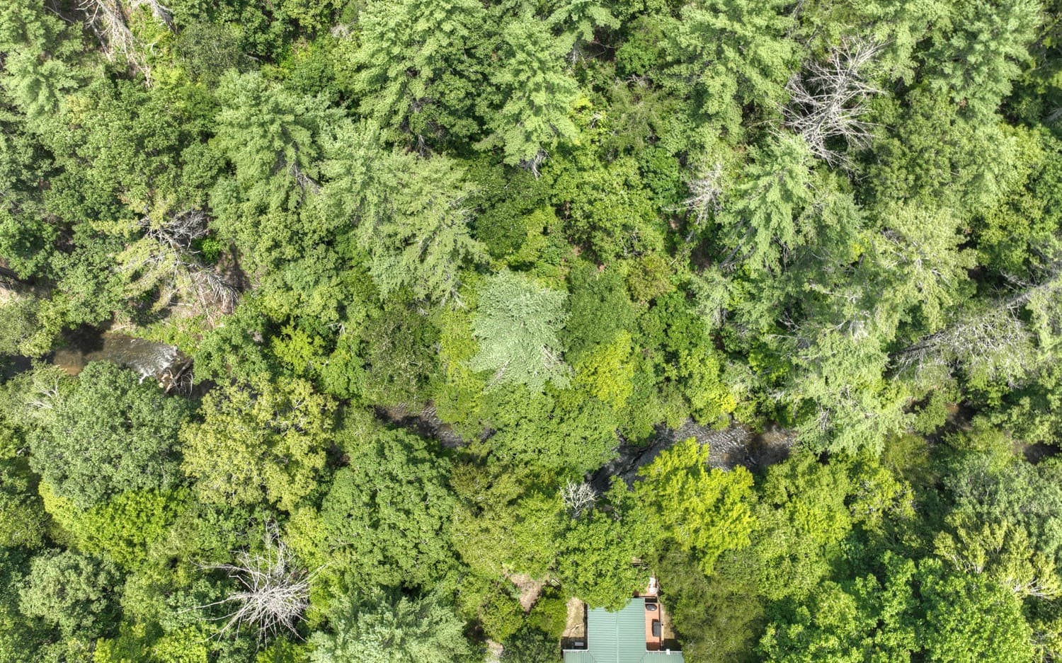 LT 22 Rolling Hills Drive, Morganton GA 30560 - Photo
