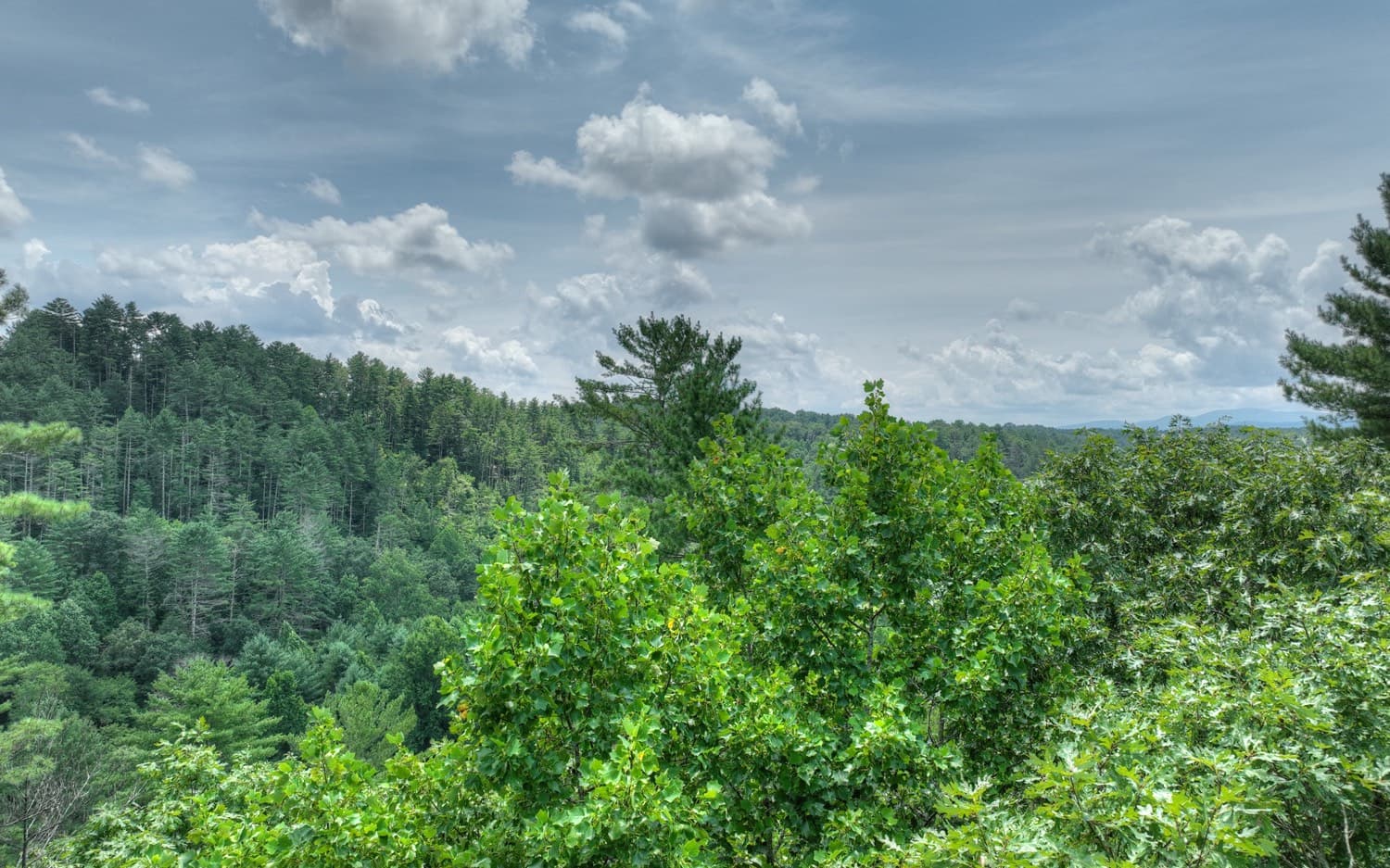 LT 22 Rolling Hills Drive, Morganton GA 30560 - Photo