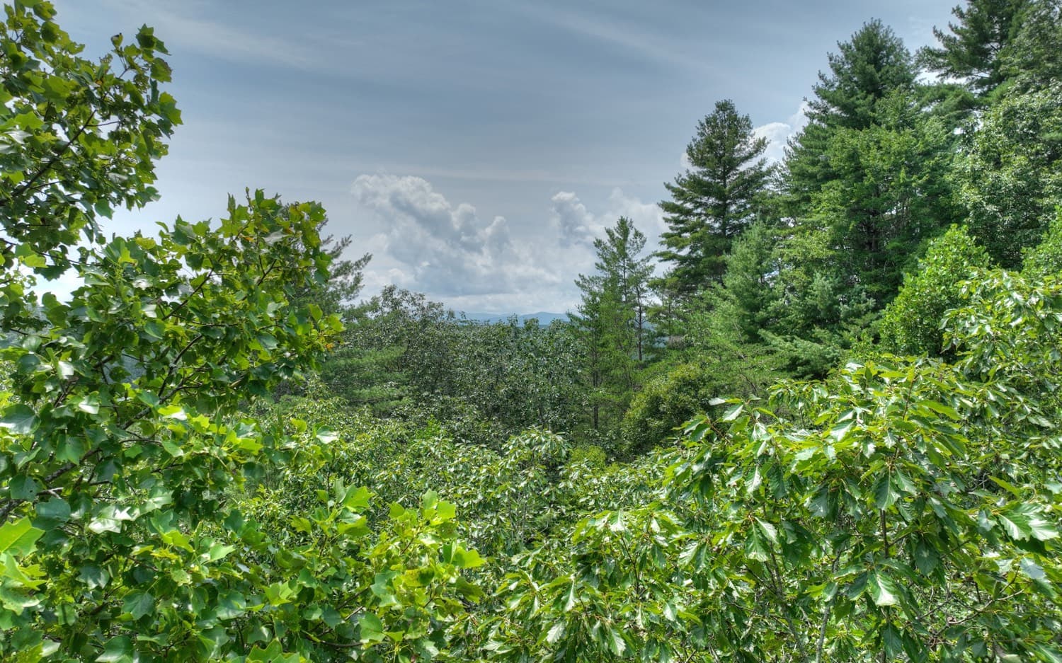 LT 22 Rolling Hills Drive, Morganton GA 30560 - Photo