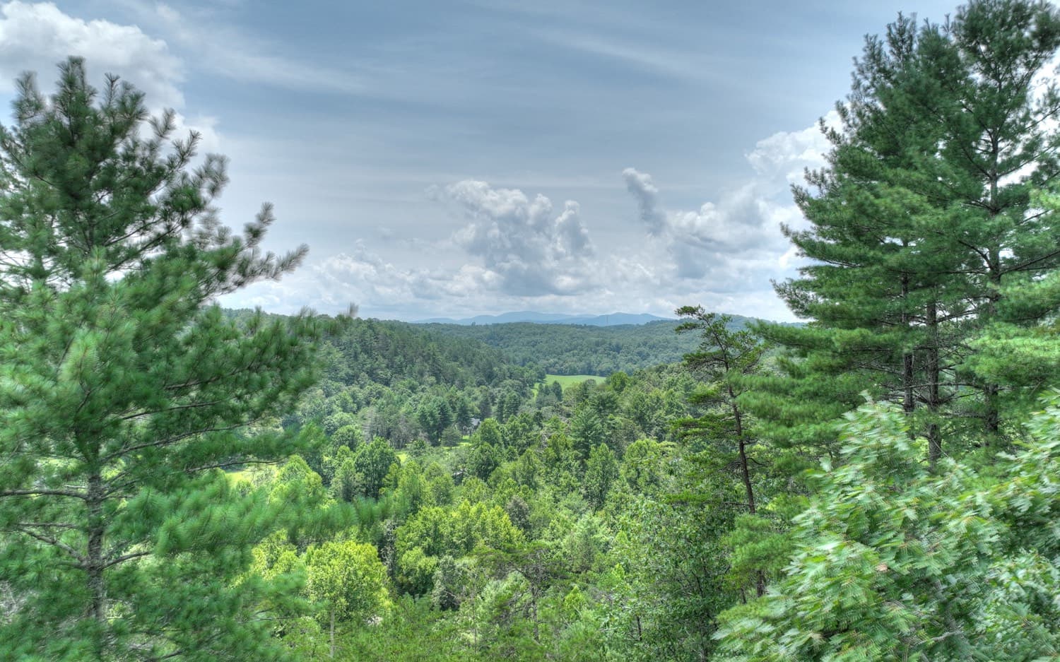 LT 22 Rolling Hills Drive, Morganton GA 30560 - Primary photo