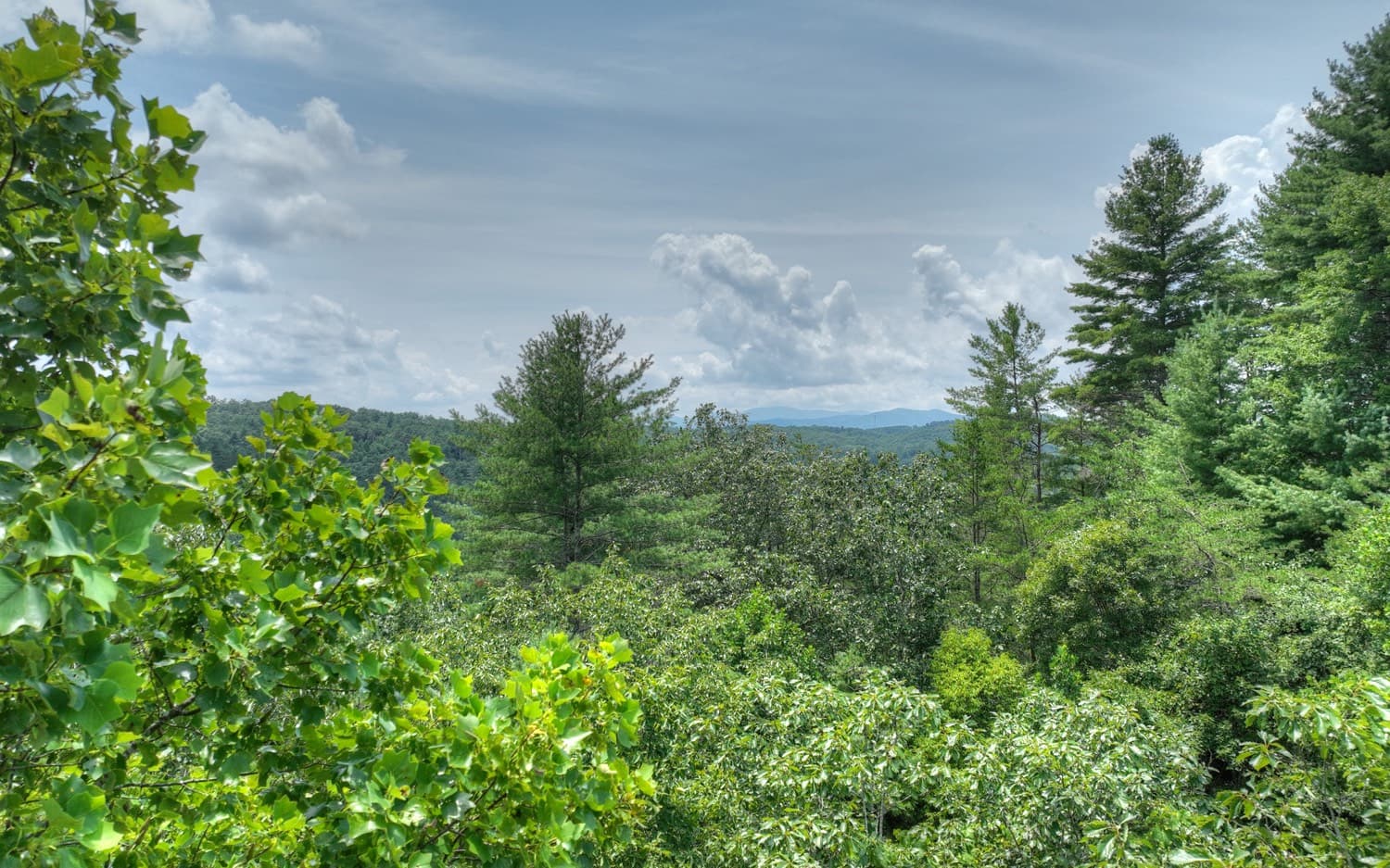 LT 22 Rolling Hills Drive, Morganton GA 30560 - Photo