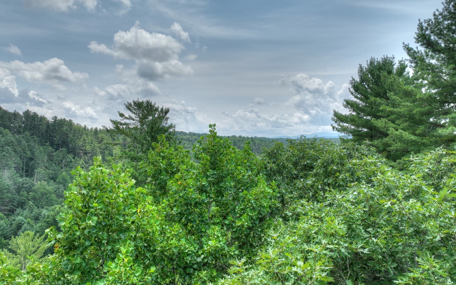 LT 22 Rolling Hills Drive, Morganton GA 30560 - Photo