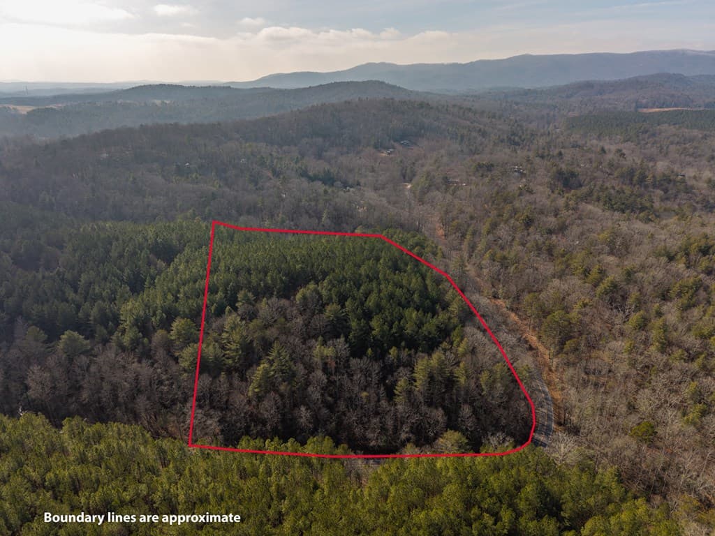 12 ACRE Pleasant Gap Road, Ellijay GA 30540 - Photo