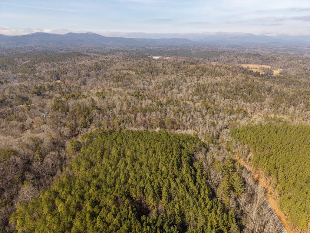 12 ACRE Pleasant Gap Road, Ellijay GA 30540 - Photo