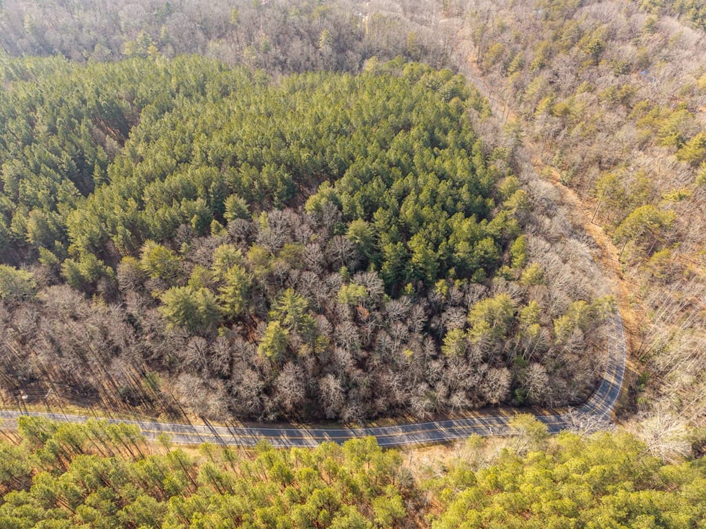12 ACRE Pleasant Gap Road, Ellijay GA 30540 - Photo