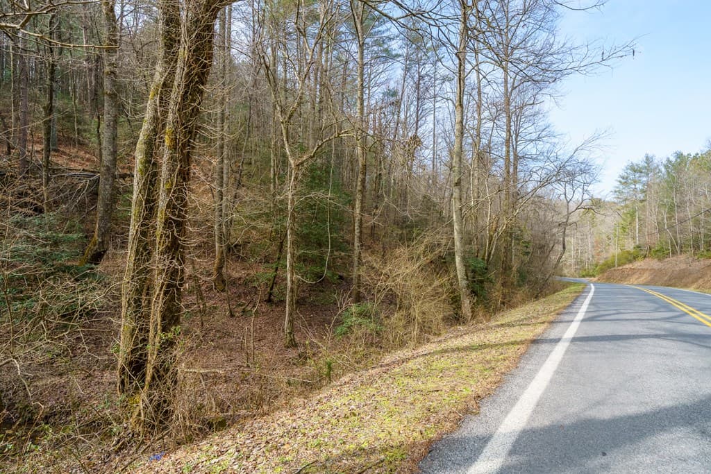 12 ACRE Pleasant Gap Road, Ellijay GA 30540 - Photo