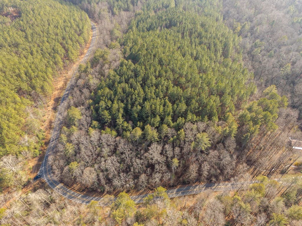 12 ACRE Pleasant Gap Road, Ellijay GA 30540 - Photo