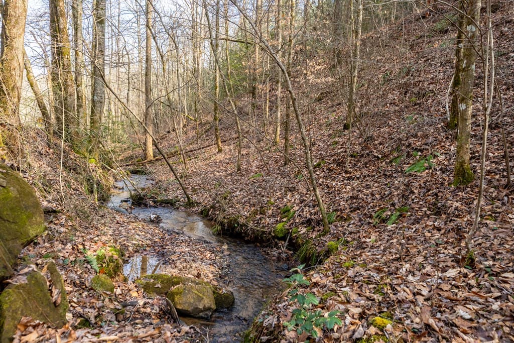 12 ACRE Pleasant Gap Road, Ellijay GA 30540 - Photo