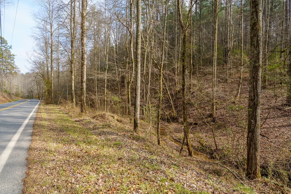 12 ACRE Pleasant Gap Road, Ellijay GA 30540 - Photo