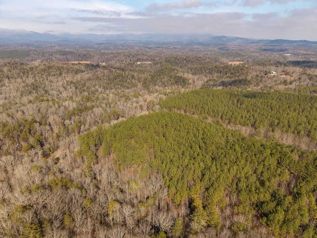 12 ACRE Pleasant Gap Road, Ellijay GA 30540 - Photo