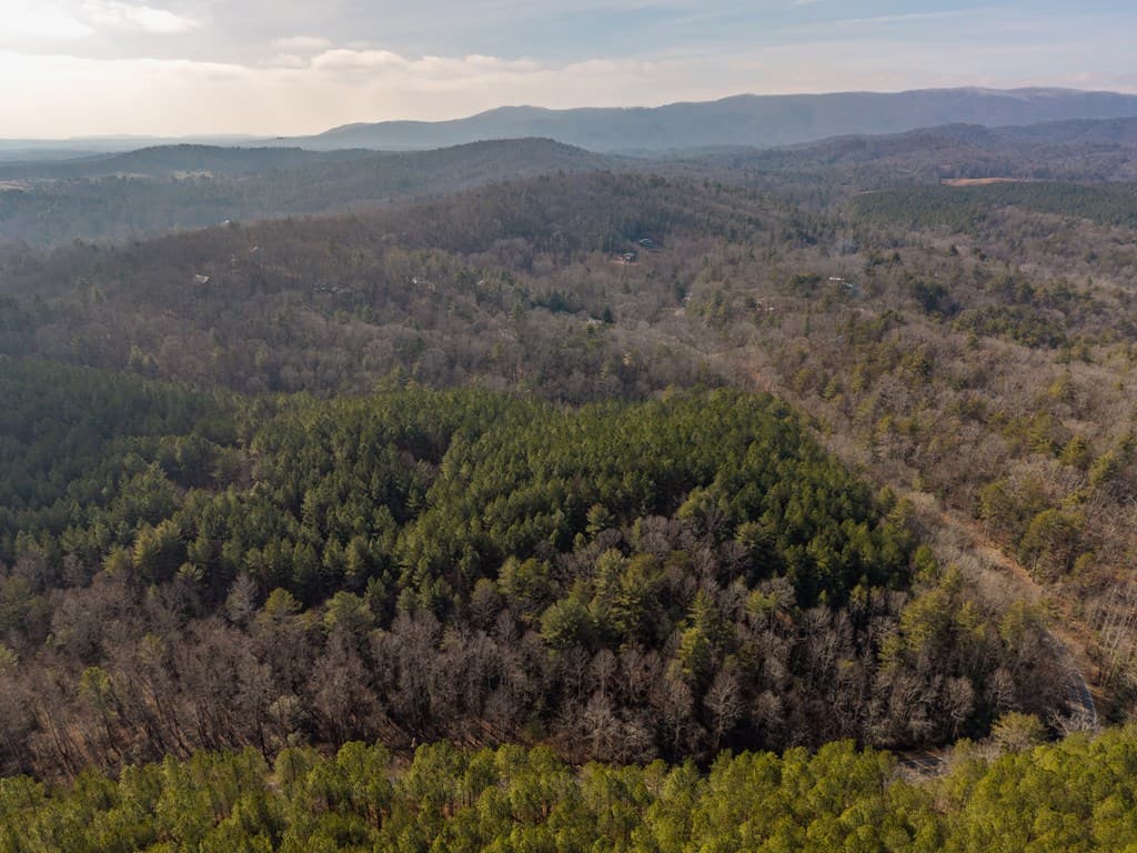 12 ACRE Pleasant Gap Road, Ellijay GA 30540 - Photo