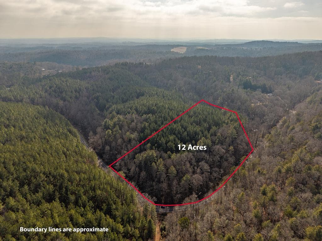 12 ACRE Pleasant Gap Road, Ellijay GA 30540 - Primary photo